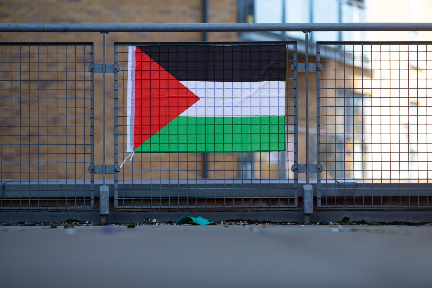 Palestine Flag