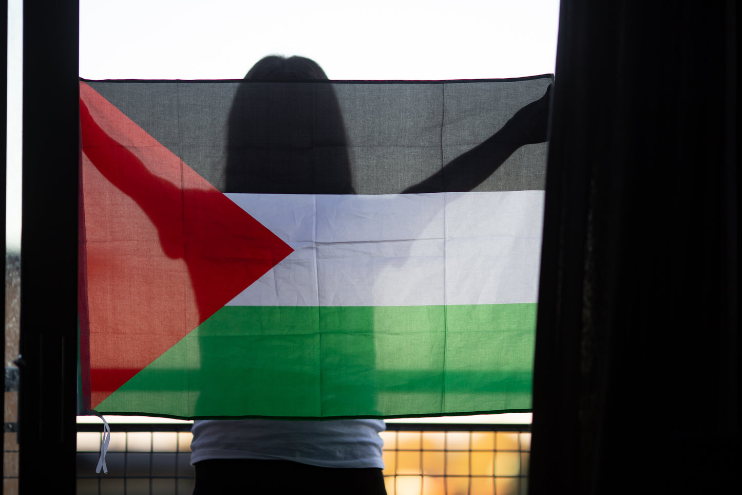 Palestine Flag