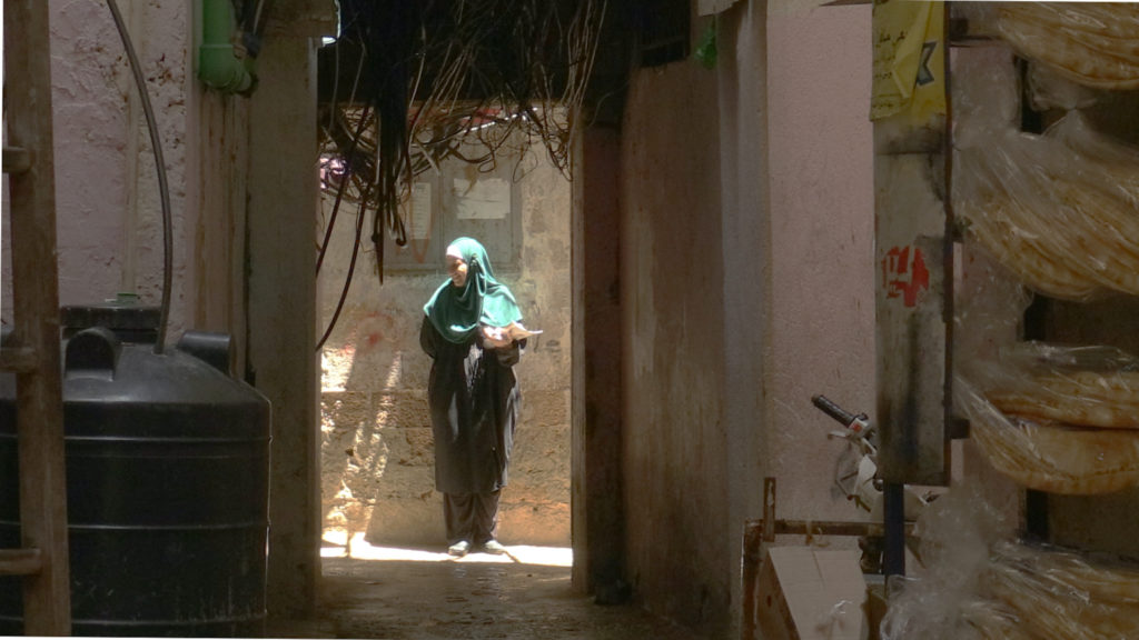 DVD: Fadia's Tree