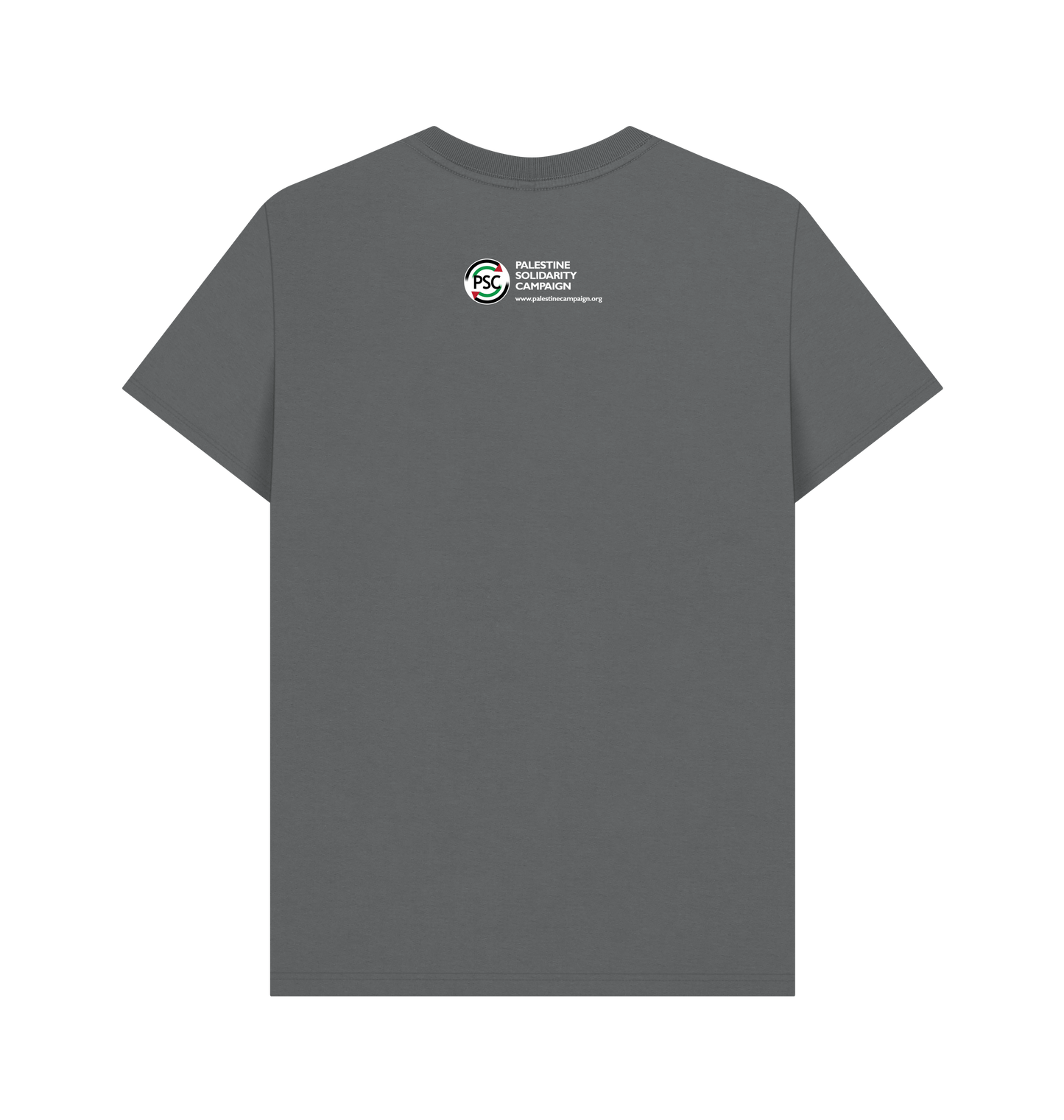 Slate Grey Printed T-shirt Back