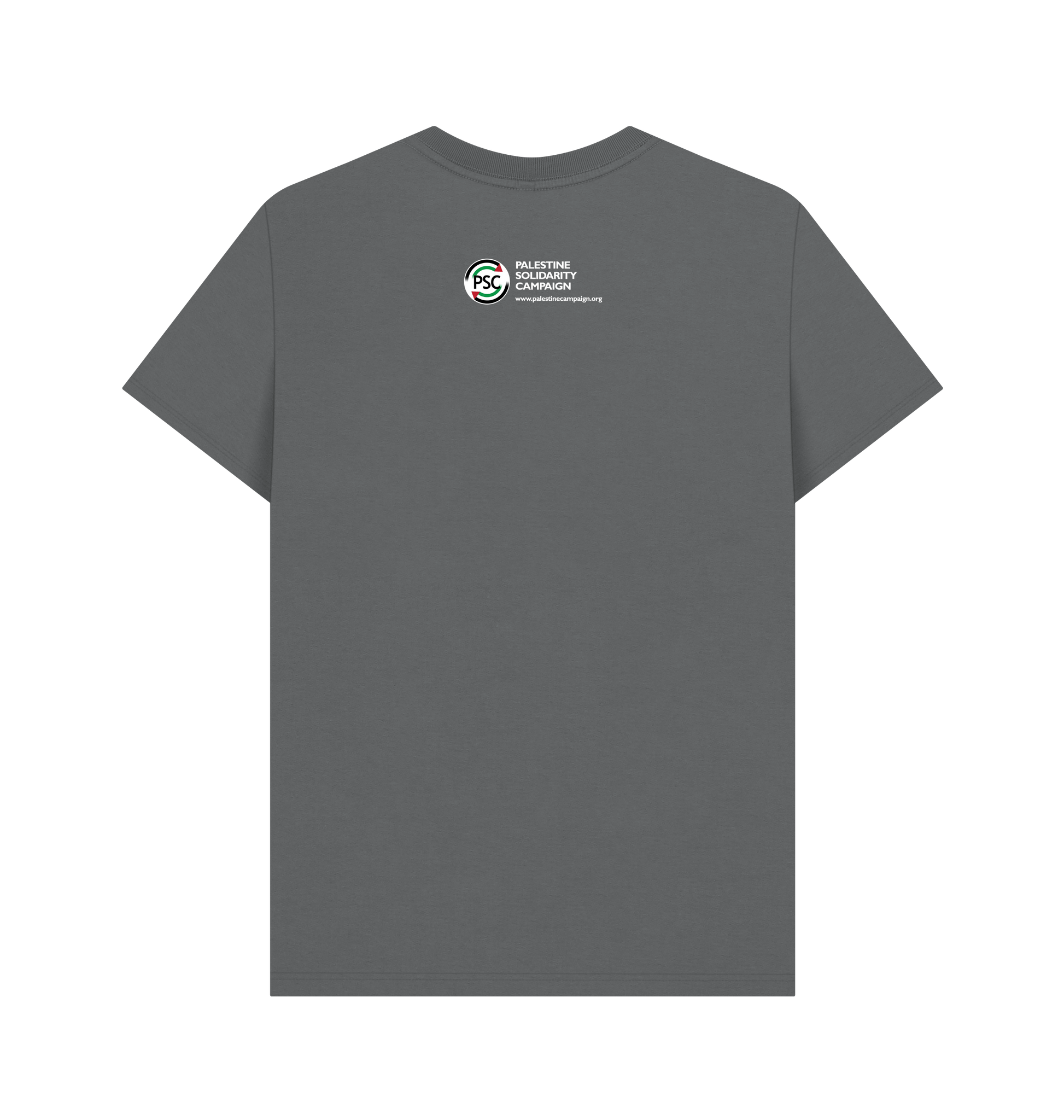 Slate Grey Printed T-shirt Back