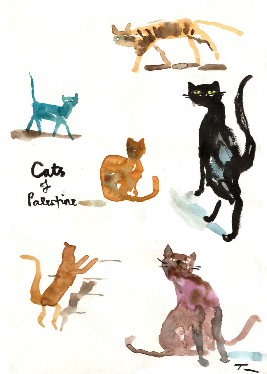 Cats of Palestine (A4 Artist's Print)