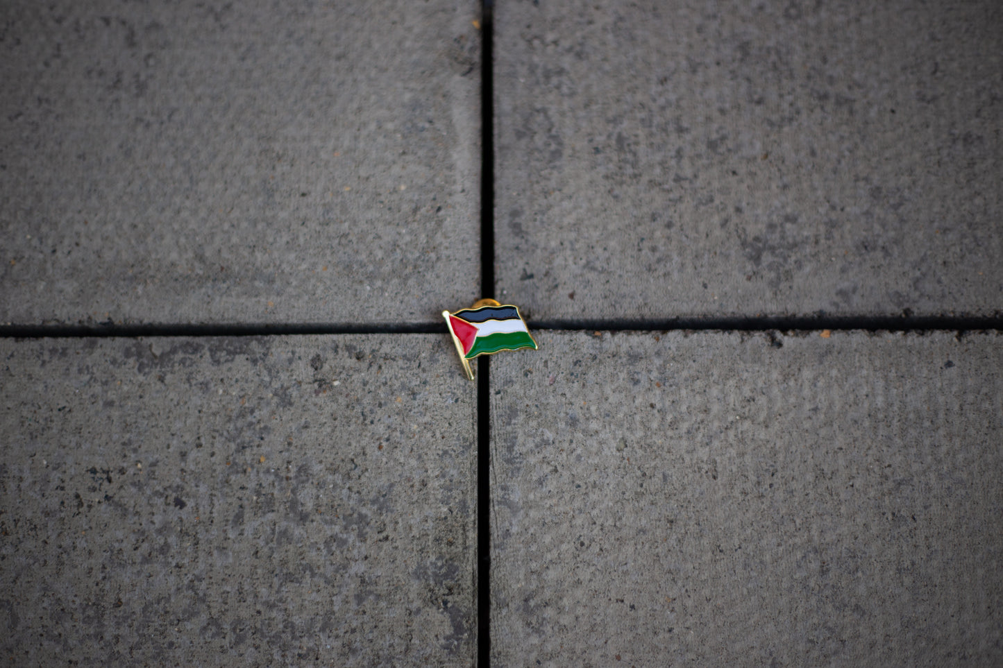 Palestine Flag Enamel Pin Badge