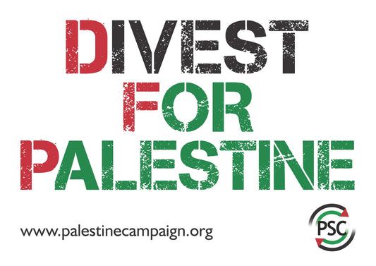 Divest For Palestine Placard