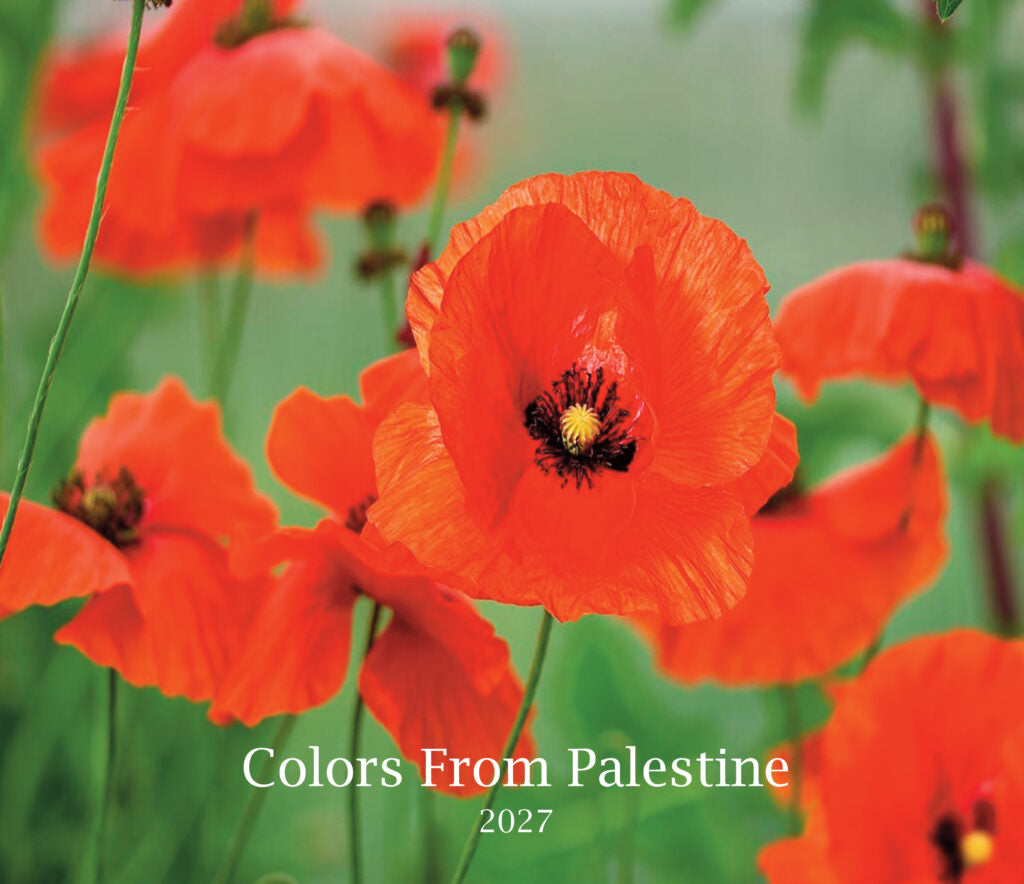 A close-up floral photograph of bright red-orange poppies with green stems and leaves, overlaid with the text 'Colors From Palestine 2027'  Calendar near the bottom.