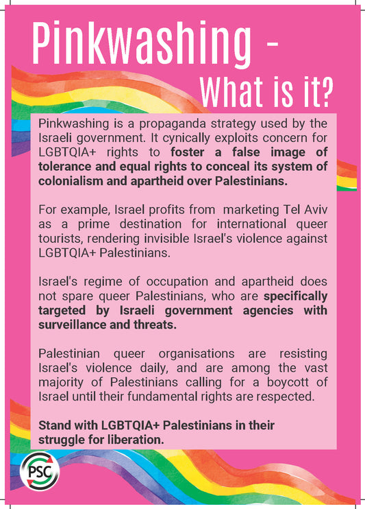 Pinkwashing Flyer