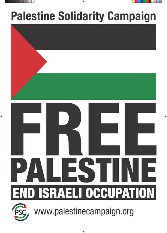 Free Palestine Placard