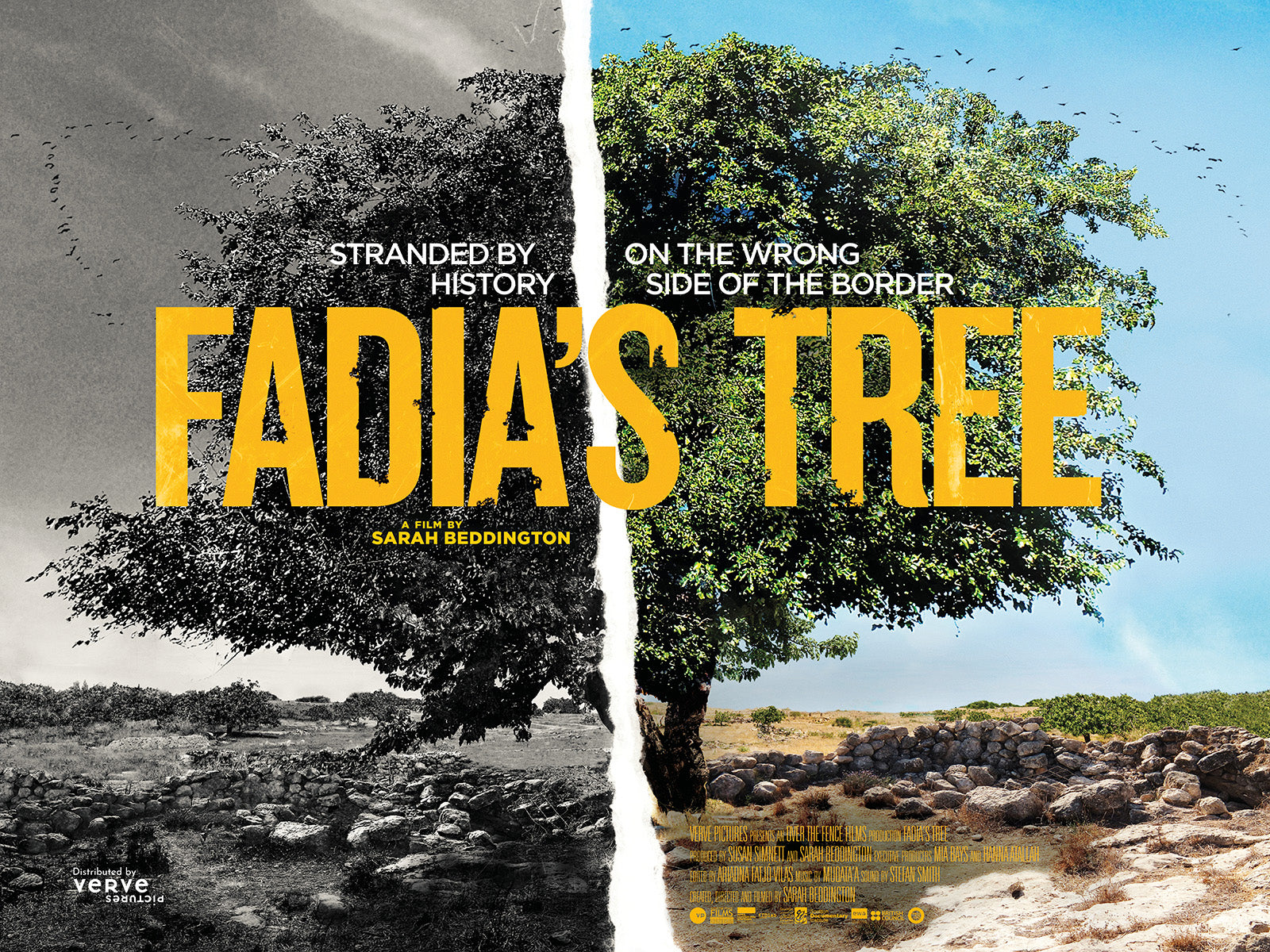 Products DVD: Fadia's Tree