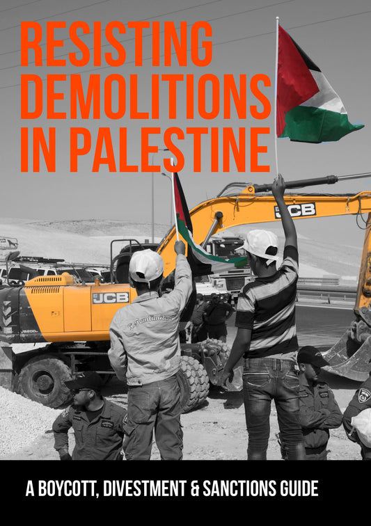 Book: 'Resisting Demolitions in Palestine'